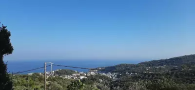 Angel Suite - Patitiri