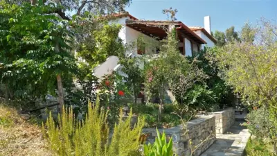 Julia's Home - Patitiri