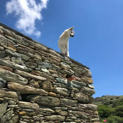 Kotseli - Sea View, Pool, Sunsets - Andro