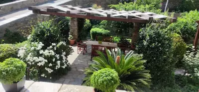 Handakas Studios - Andro