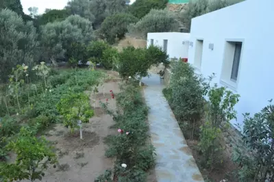 Small Paradise - Andro