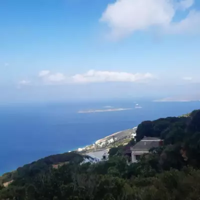 Stella's House - Aprovaton