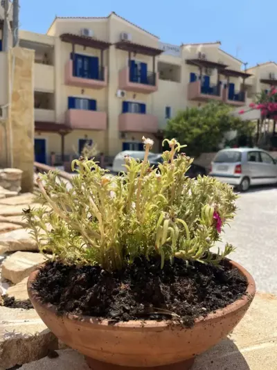 STUDIOS ATHENA - Megalochori