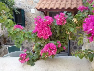 Agistri SOPHIA'S APARTMENT - Skala