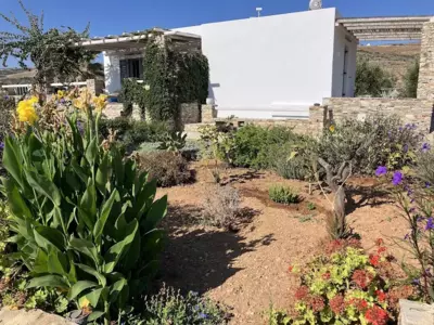 Statheros Garden - Antiparos