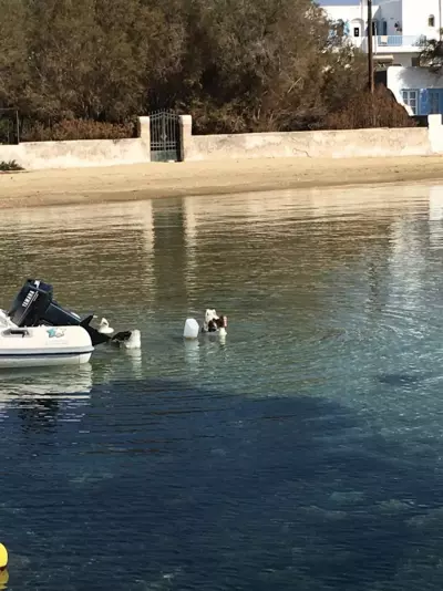 Antiparos Thea - Antiparos