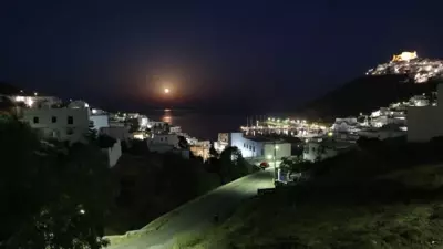 Papillon - Pera Gyalos