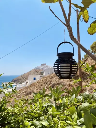 Little Garden - Pera Gyalos