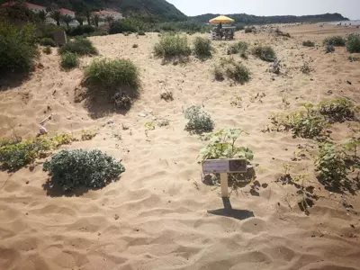 Villa Katelios Bay View by Villa Plus - Katelios