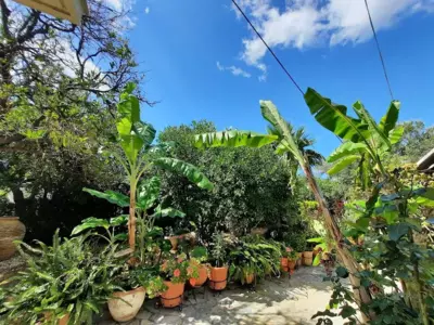 Epi Apartments - Lourdata