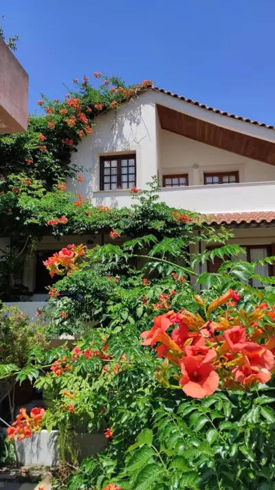 Staggia Studios - Sami