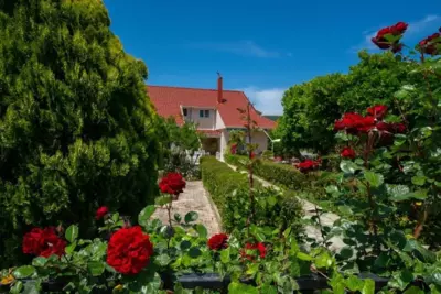 Christina's place - Sami