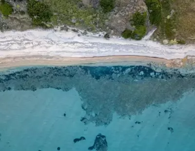 KALAMIES - Secluded Beach Apartments - Skala