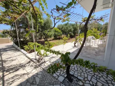 Andreas Studios - Svoronata