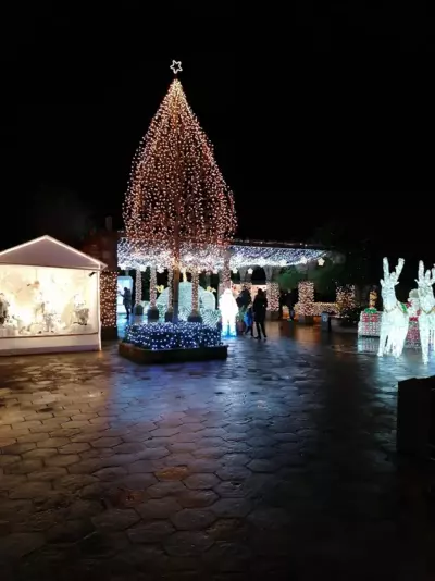 Antonela's Holiday Cottage in the countryside - Elevated View - Komi