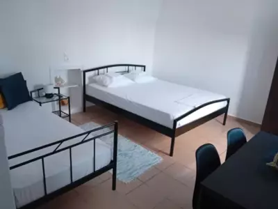 Volto Studio - Citera