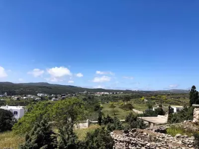 The Old barrel houses - Citera