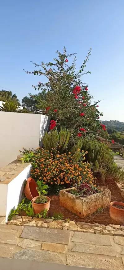 Γαληνη - Citera