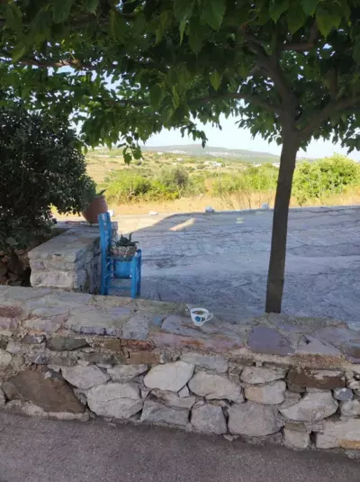 Theros house - Citera