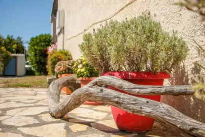 Lefkes Apartments - Acharavi