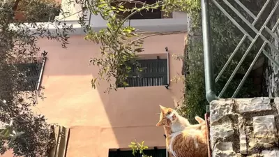 Barbati Seafront Luxury Suites - Barbati