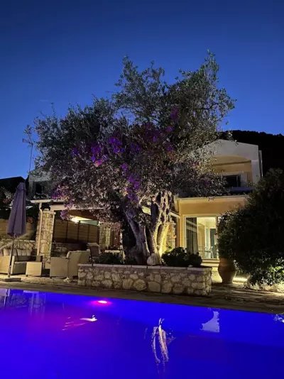 Villa Palmier - Barbati