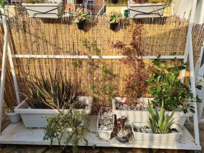 Domus Lux Houses by Konnect - Corfù Città