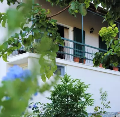 The Olive Grove Apartments by Konnect, Dasia - Dassia