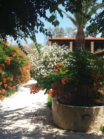 Alexandra Spingou Apartments - Dassia