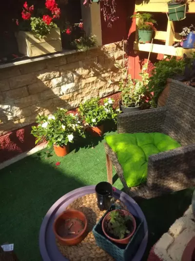 Studio Green - Ipsos