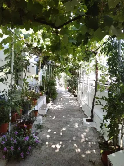 Angela kassiopi apartament studio - Kassiopi