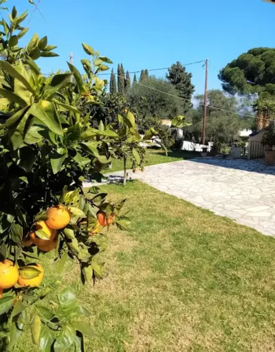 Lemoni Apartments - Pelekas