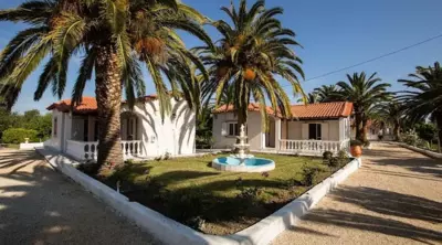 Paradise Village - Roda