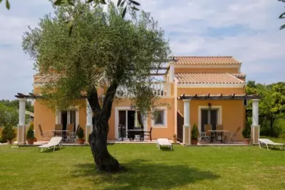 Ballas Paradise - Roda