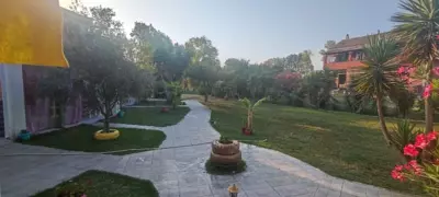 Demis Apartments - Sidari