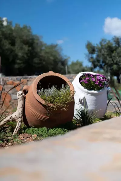 Elounda Dream House 2 - Elounda