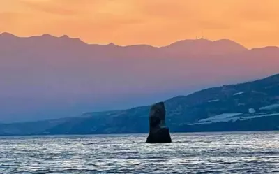 Adorable Country House with sea & church view! - Kokkini Khanion