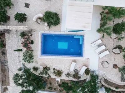 Villa Olympia in the palm trees - Pitsidia