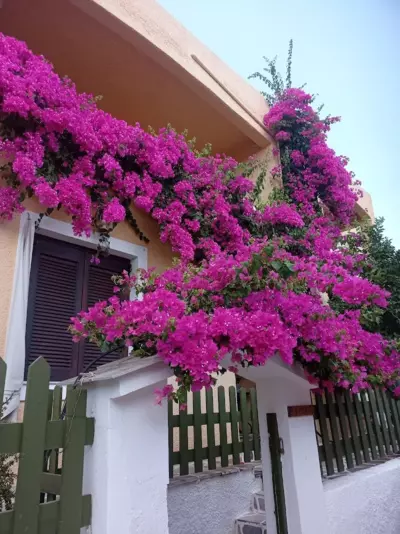 Eriketi Studios - Agia Marina Aegina