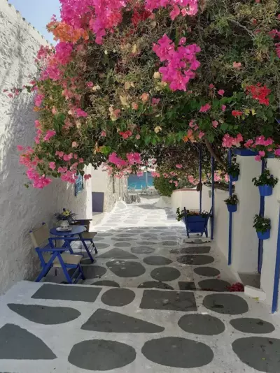 Anthippi's sea view apartment - Vathi