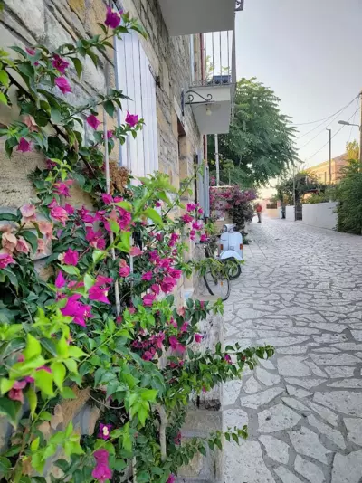 Aida Sul Porto - Ereikoussa