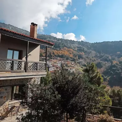 Vasiliki's house - Amarynthos