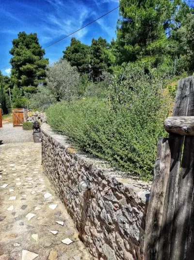 Architect designed house with pool and private beach - Eretria