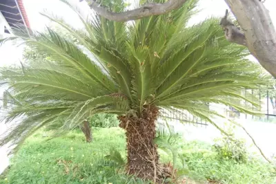 Casa de Alegria - Eretria