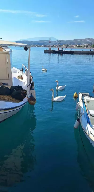 Maria's Sweet Home - Eretria