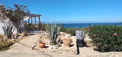 Consolas Gavdos Studios - Gavdos