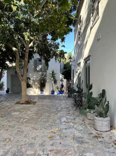 Cactus Hydra - Art Apartments - Hydra