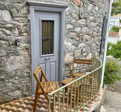 Blue Coral Hydra - Hydra