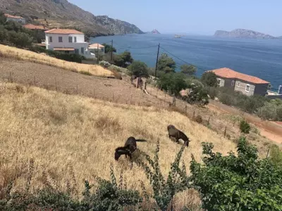 Vlichos Studio Apartment - Hydra