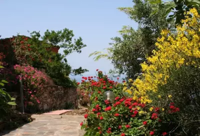 Ikarian Centre - Accommodation & mountain hiking - Evdilos